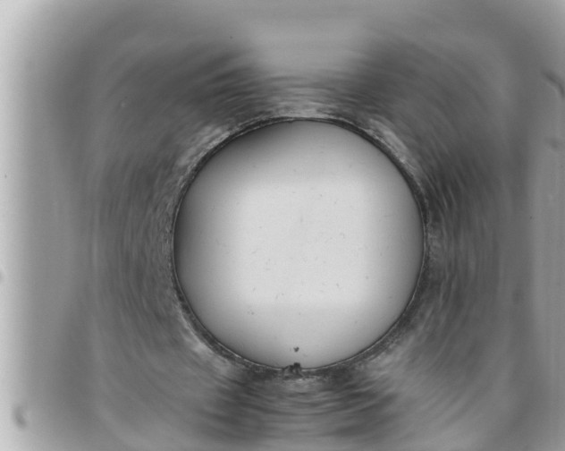 X0000097760433200803211717