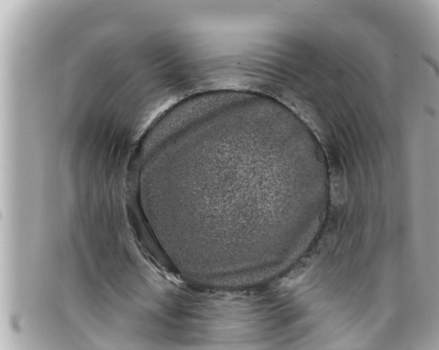 X0000097760434200803211718