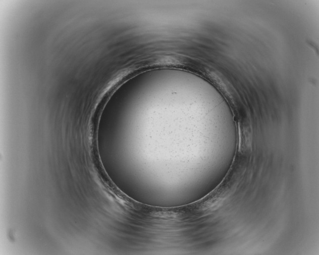 X0000097760435200803211718