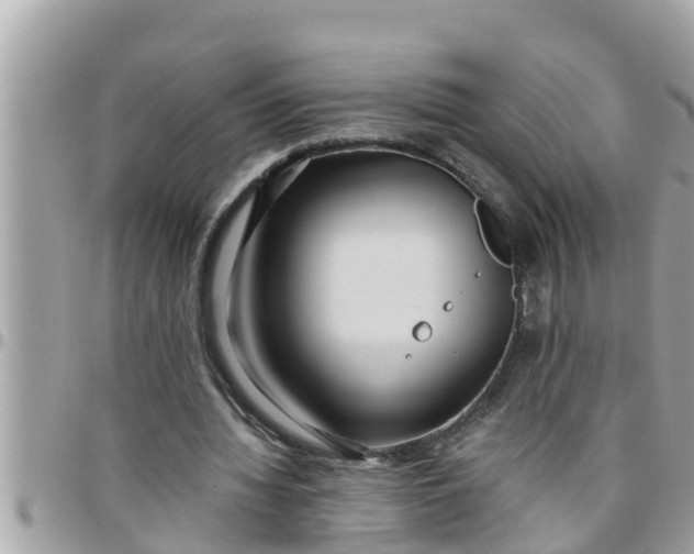 X0000097760436200803211718