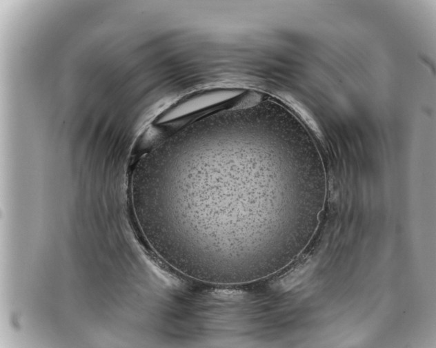 X0000097760437200803211718