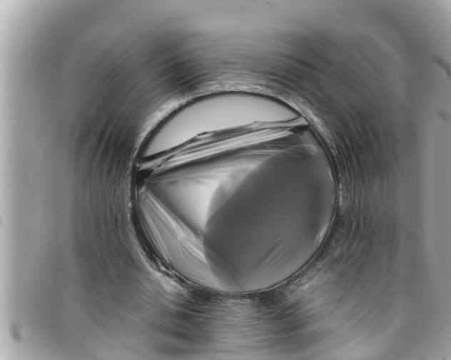 X0000097760438200803211718