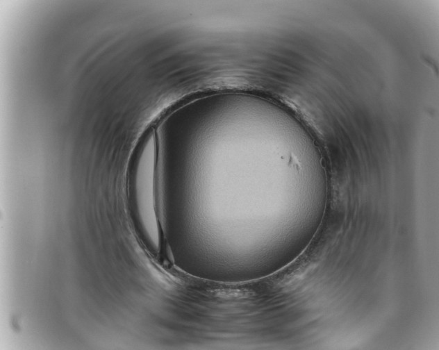 X0000097760439200803211718