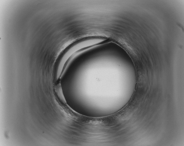 X0000097760440200803211718