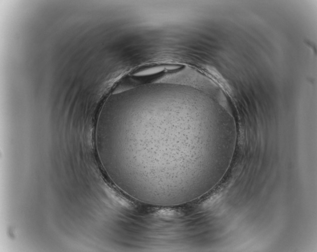 X0000097760441200803211718