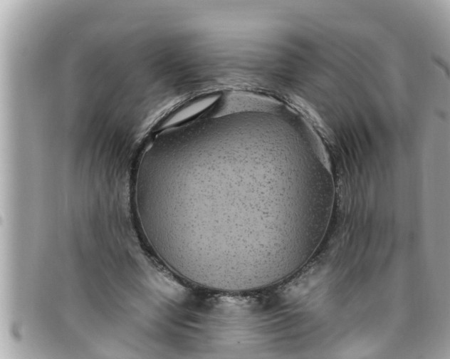 X0000097760442200803211718