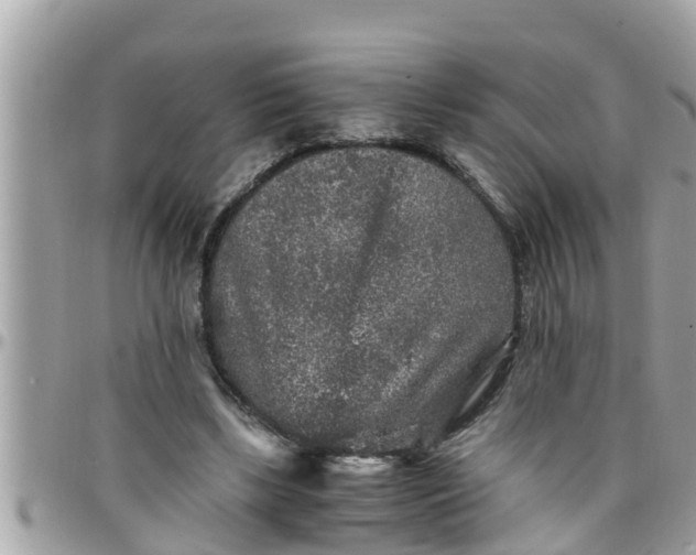 X0000097760443200803211718