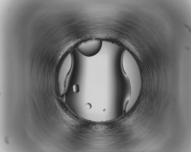 X0000097760444200803211718