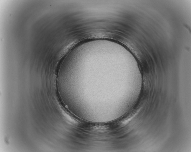 X0000097760445200803211718