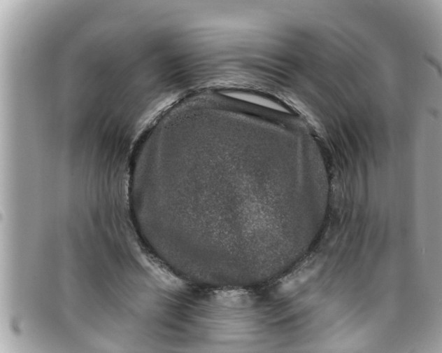 X0000097760446200803211718