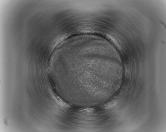 X0000097760447200803211718