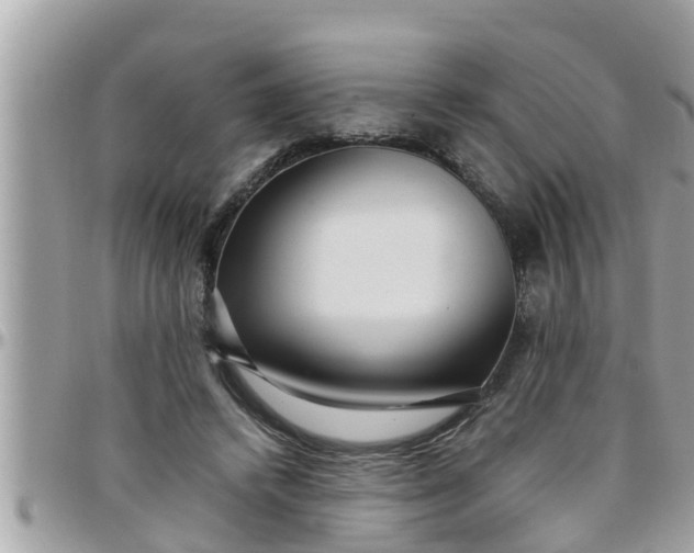 X0000097760448200803211718