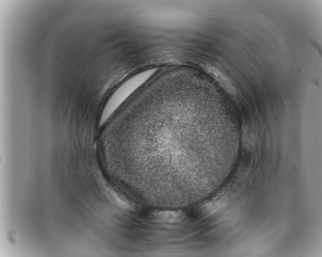 X0000097760449200803211718