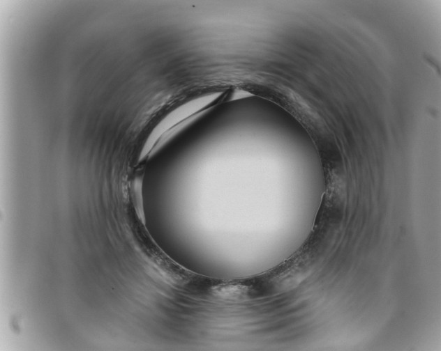 X0000097760452200803211718