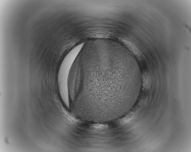 X0000097760453200803211718