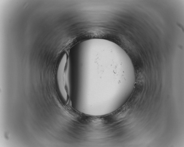 X0000097760456200803211718