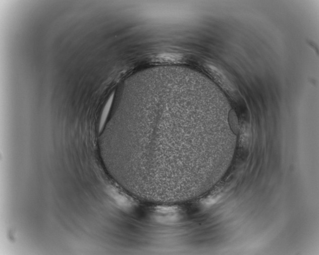 X0000097760457200803211718