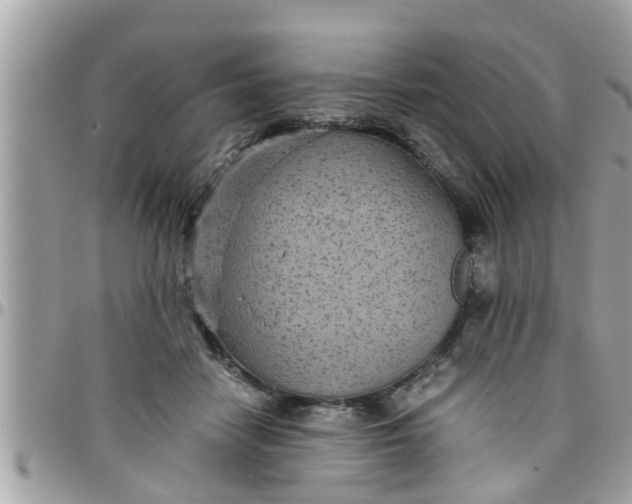 X0000097760458200803211718