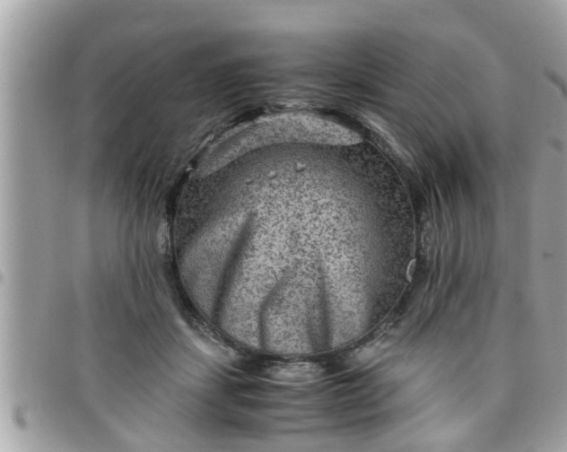 X0000097760459200803211718