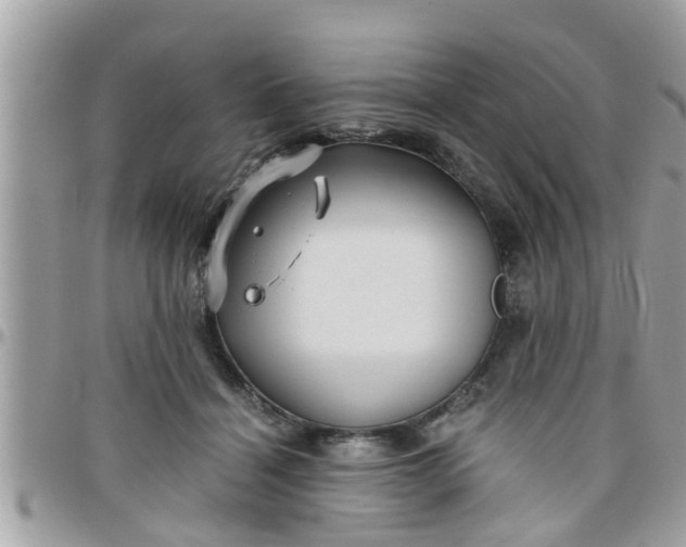 X0000097760460200803211718