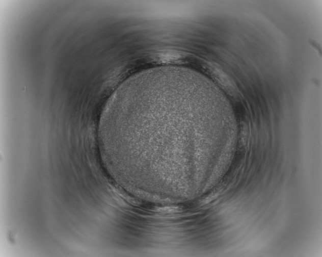 X0000097760461200803211718