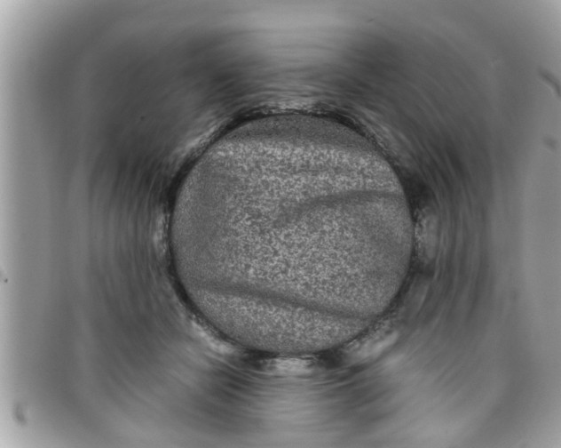 X0000097760462200803211718