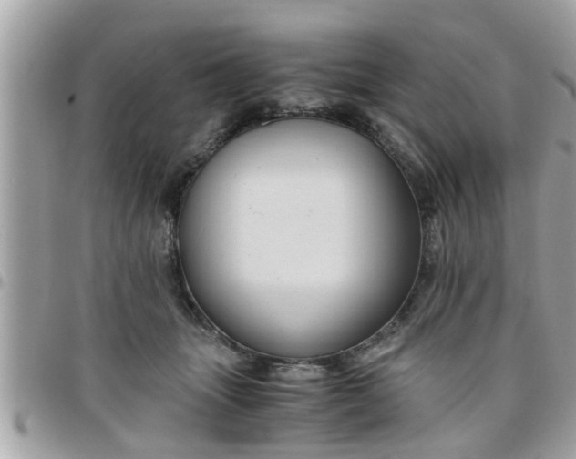 X0000097760463200803211718