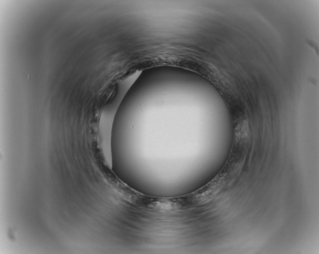 X0000097760464200803211718