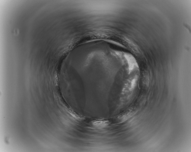 X0000097760465200803211718