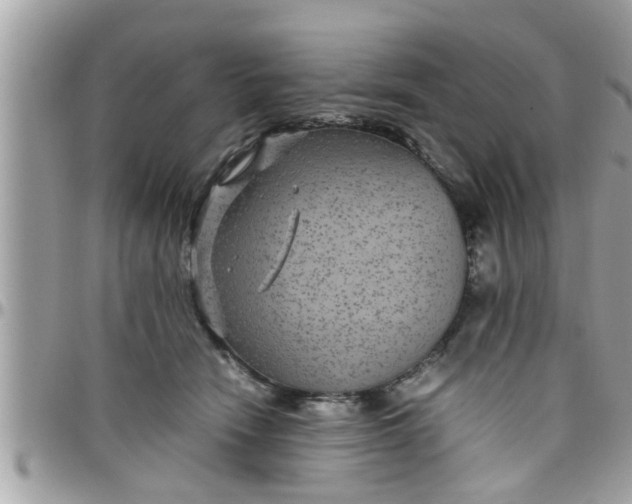 X0000097760466200803211718