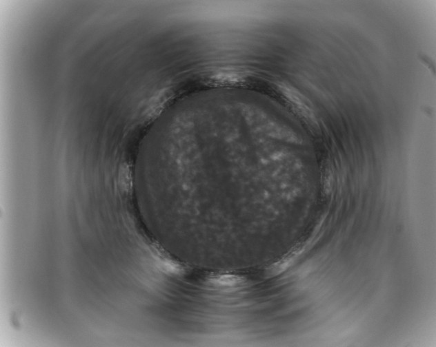 X0000097760467200803211718