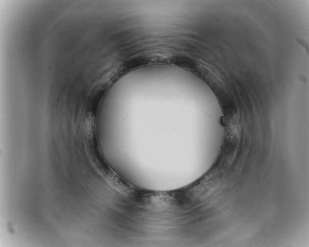 X0000097760468200803211718