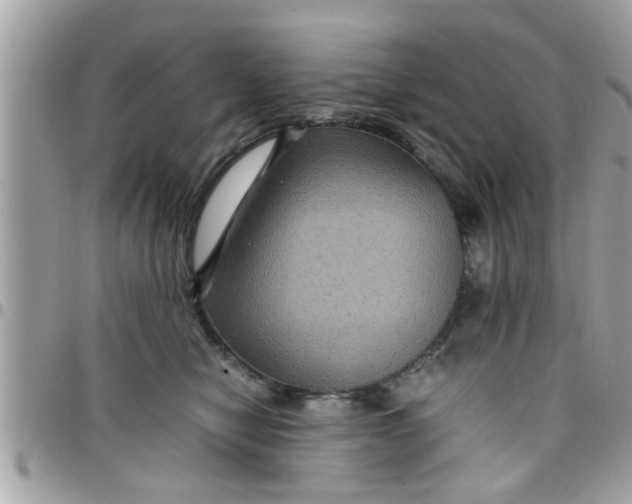 X0000097760470200803211718