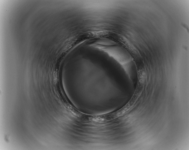 X0000097760471200803211718