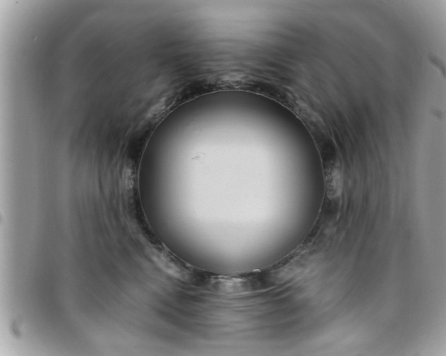 X0000097760472200803211718