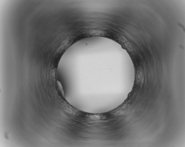 X0000097760473200803211718