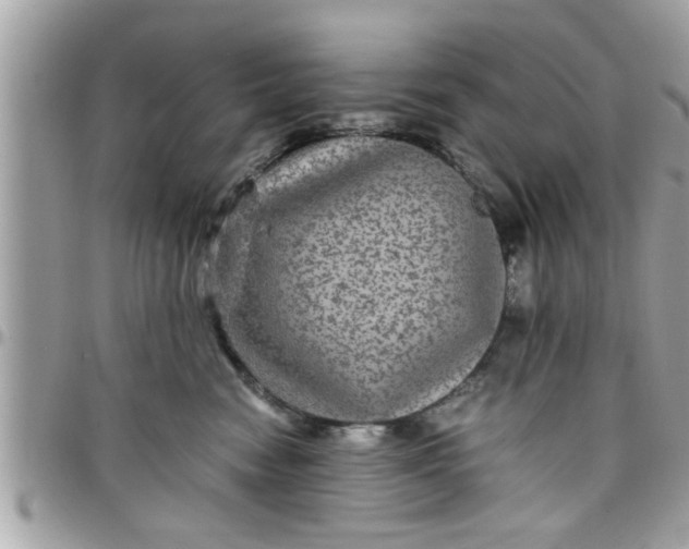 X0000097760474200803211718