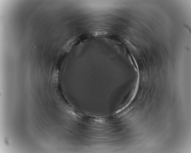 X0000097760475200803211718