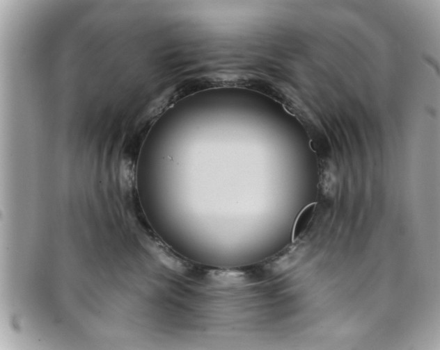 X0000097760476200803211718