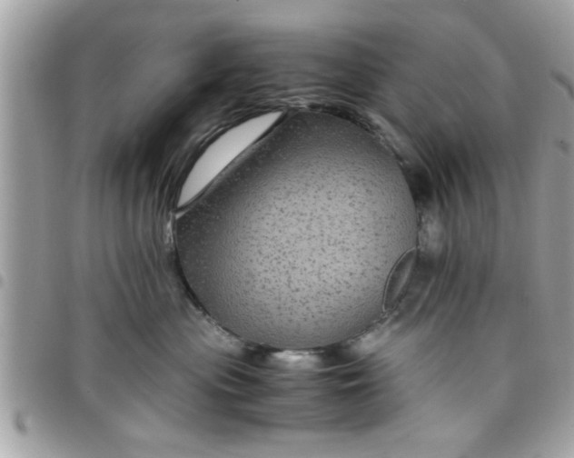 X0000097760477200803211718