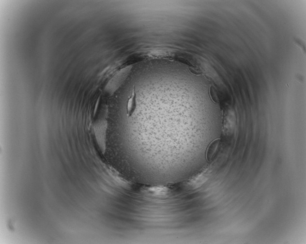 X0000097760478200803211718