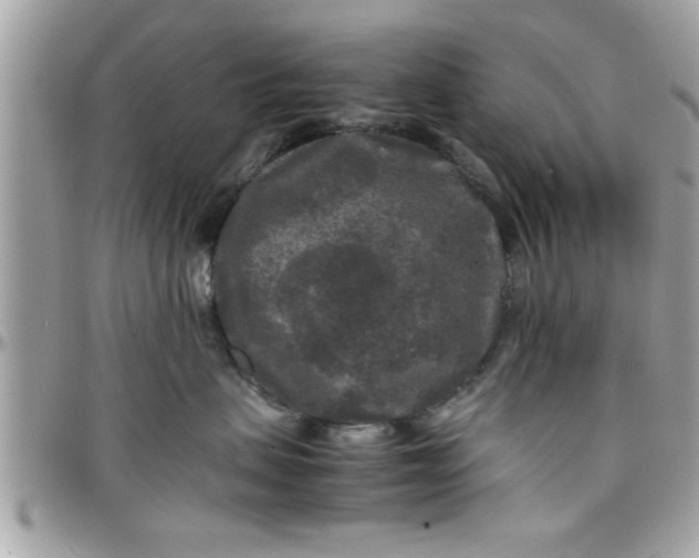 X0000097760479200803211718