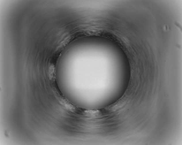 X0000097760480200803211718