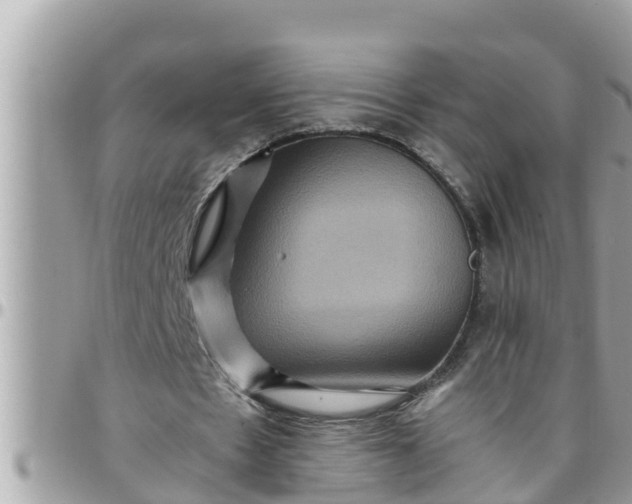 X0000097760481200803211717