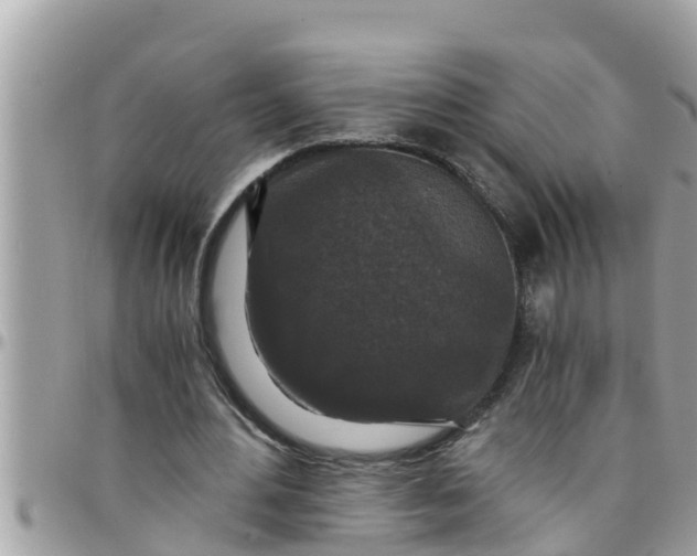 X0000097760484200803211717