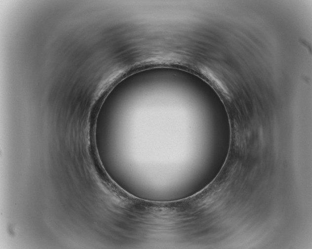 X0000097760486200803211717