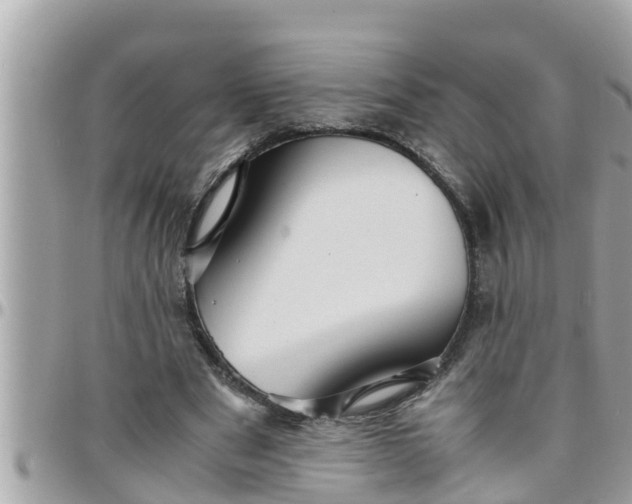 X0000097760489200803211717