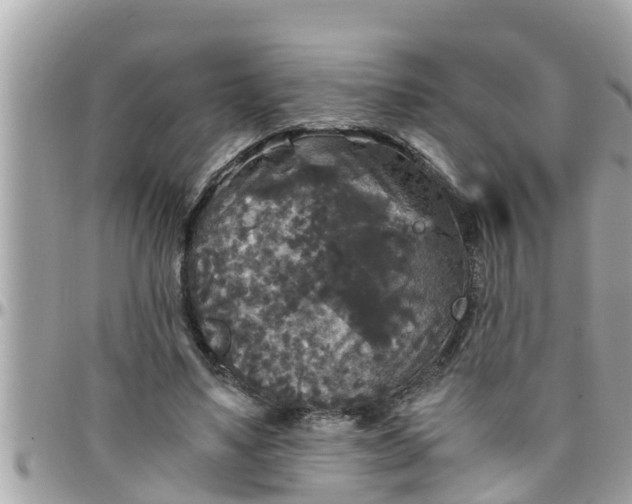 X0000097760491200803211717