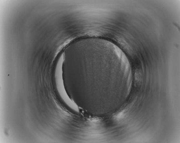 X0000097760492200803211717