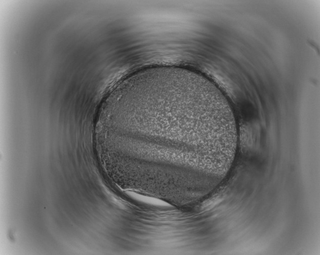 X0000097760493200803211717